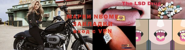 трава Аркадак