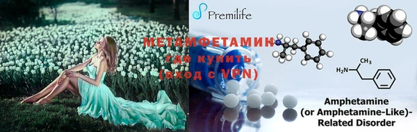 трава Аркадак