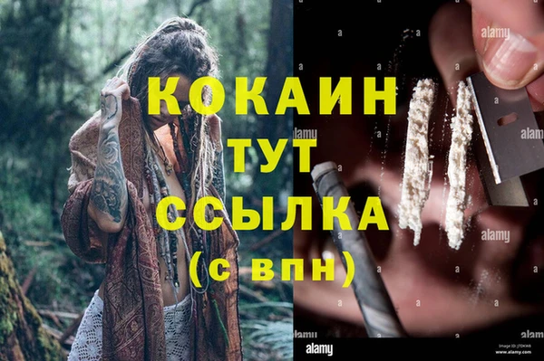 трава Аркадак