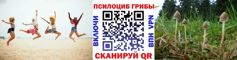 Псилоцибиновые грибы прущие грибы Бабаево
